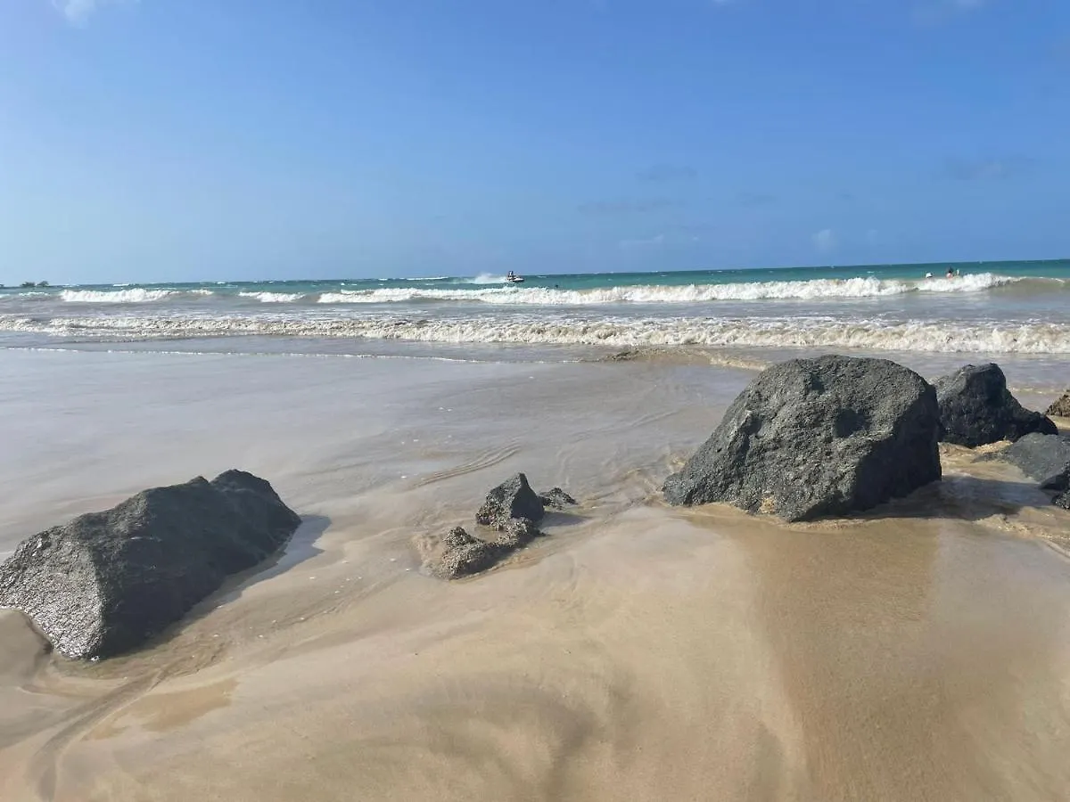 True Beach Front Studio In Isla Verde サンジョアン プエルトリコ